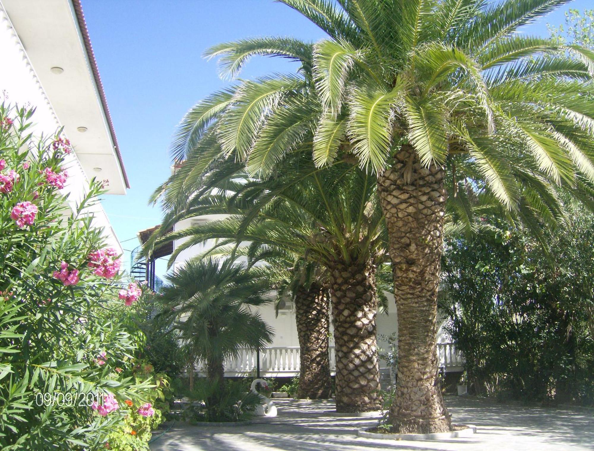 Villa Daizy Boutique Apartments Laganas Eksteriør billede